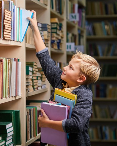 image highlighting the Books and Media group of pages.